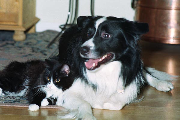 00000003.jpg (38604 bytes)